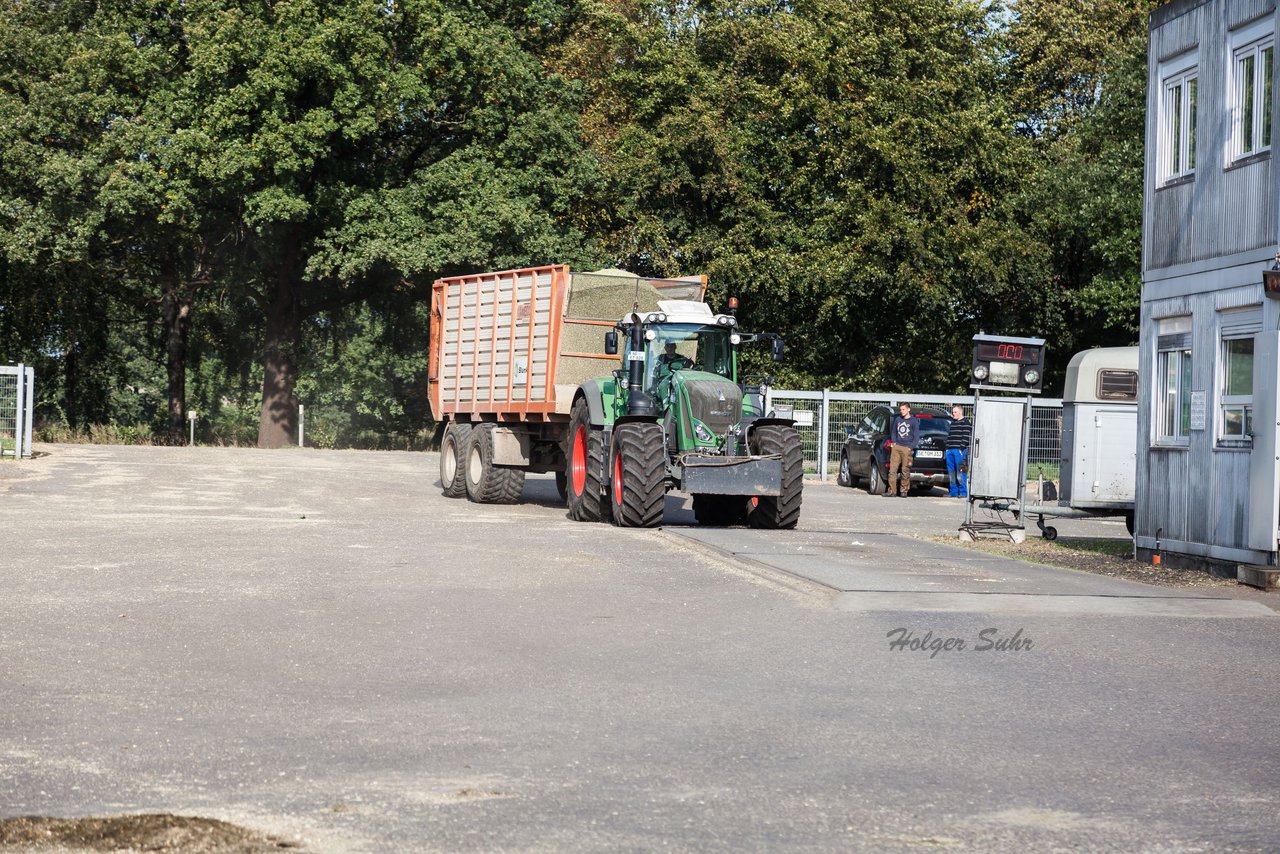 Bild 148 - Maisernte